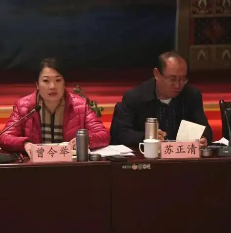 迈向网络新纪元，服务器与域名的双重护航，构建个性化数字家园，买了服务器和域名怎么建立网站