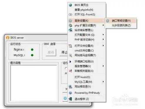 Windows平台打造网站服务器的全方位指南，电脑做网站服务器