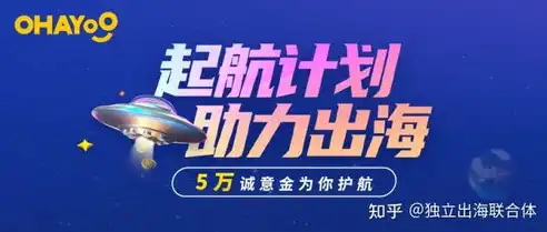 揭秘知乎SEO团队，助力内容创作者在信息海洋中乘风破浪的奥秘，seo技术团队