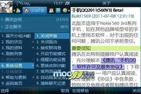 手机QQ查看网站源码的实用技巧与注意事项，手机qq查看网站源码在哪