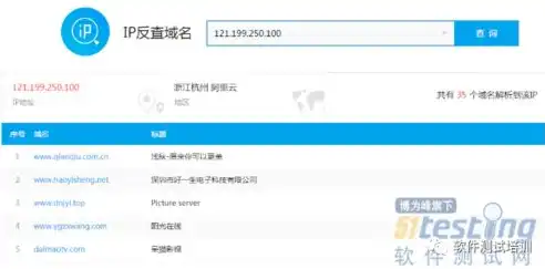 深入解析网站Whois查询，揭秘域名注册信息与网络安全，网站WhoIs查询