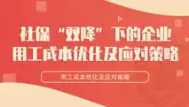 企业社保成本优化策略，创新与实施并行，社保成本过高优化方案有哪些