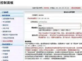 一站式攻略，如何轻松注册理想的网站域名，网站域名怎么注册备案