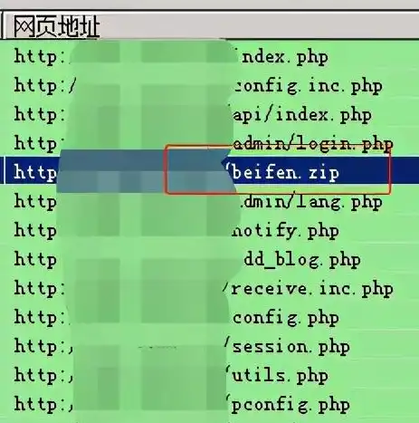 巧妙利用代理IP，轻松提取网站源码，揭秘高效网站内容获取技巧，代理ip提取网站源码是多少