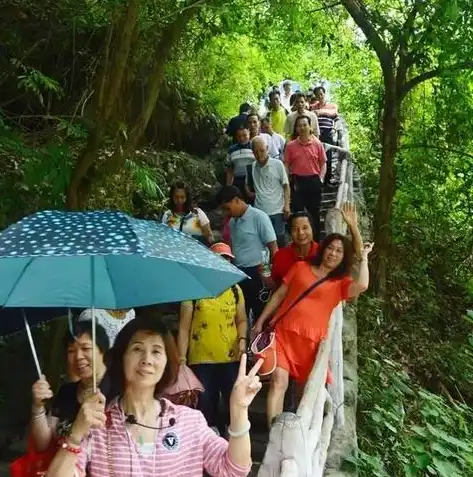 清远网站关键词优化策略，精准定位，提升网站流量与转化率，肇庆网页关键词优化