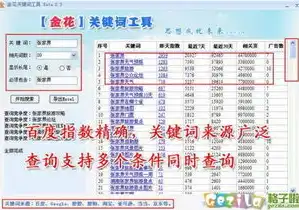 金花追词关键词工具，揭秘网络内容创作背后的神秘力量，金花查词