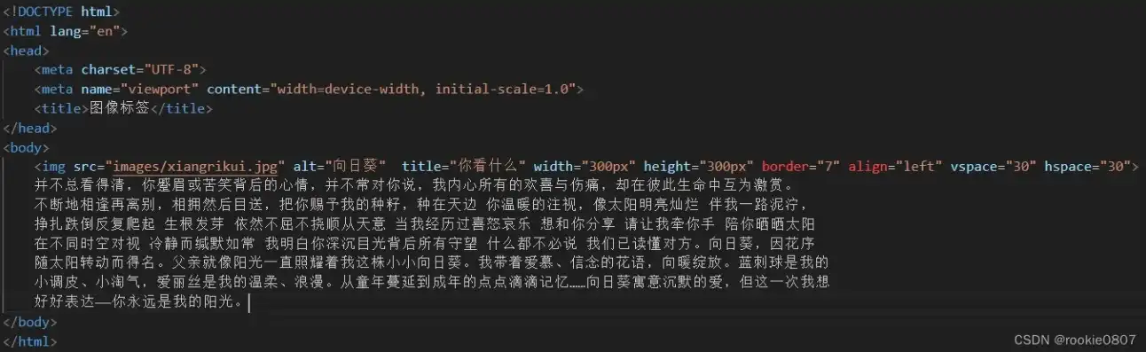 探索数字世界的奥秘——HTML模板网站构建指南，html模板网站建设中