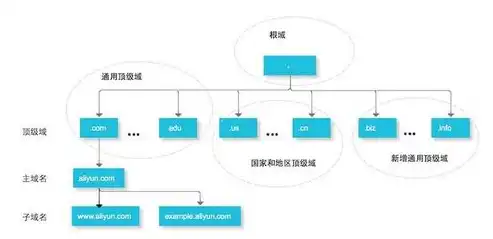 解析域名服务器类型，了解其工作原理与功能差异，域名服务器类型包括