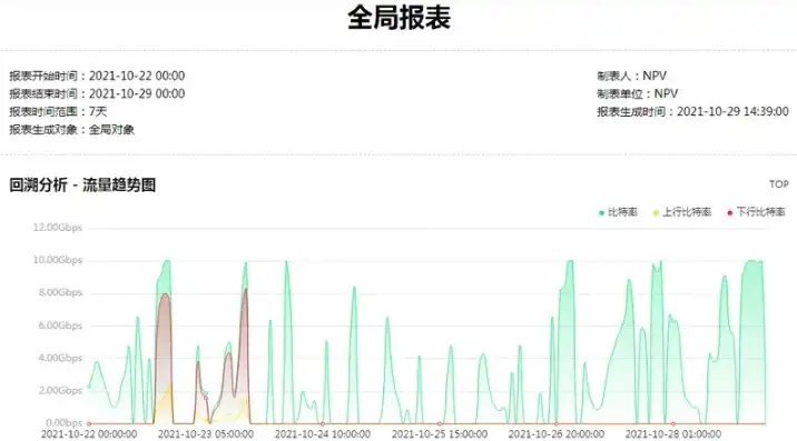 解析10T服务器流量背后的IP数量，揭秘大数据背后的秘密，服务器10g