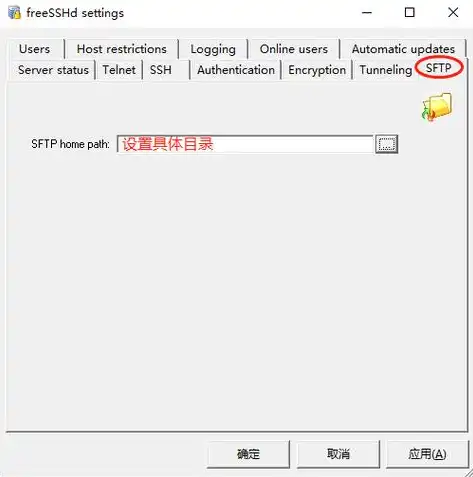 2008年域服务器的搭建与维护之道，全面解析Windows Server 2008域架构的构建过程，2008域服务器搭建教程