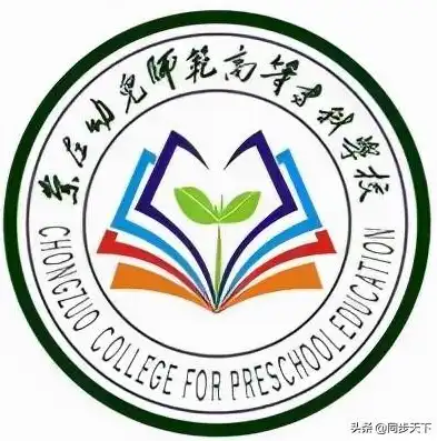 服务器备案期间网站运营策略及应对措施全解析，服务器备案期间网站打不开