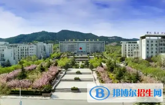 山东专科学校电子商务专业哪家强？2023年度电子商务专业学校排名大揭秘！，山东专科电子商务哪个学校好