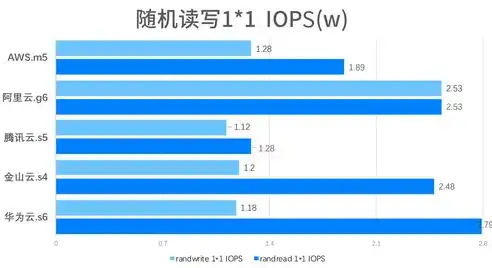 深度解析带公网IP的云服务器，功能、优势与选择指南，带公网ip的云服务器是什么