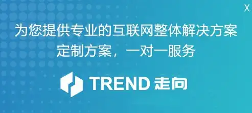 专业网站开发，打造个性化企业门户，助力企业迈向数字化未来，专业网站开发哪家好