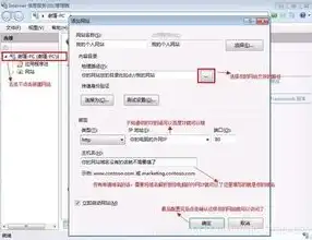 深入解析ASP.NET中的服务器信息显示技巧与实现，asp.net server