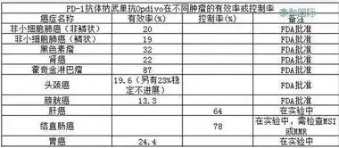 深度解析国内免备案服务器的优势与选购技巧，国内免备案服务器租用