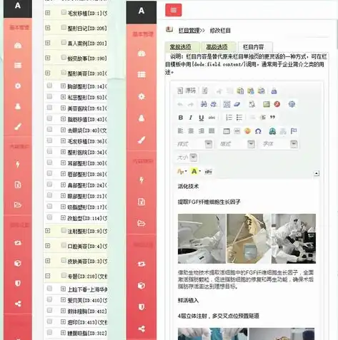 专业整形医院网站源码免费下载，助您轻松搭建线上平台！，整形网站源码 手机端