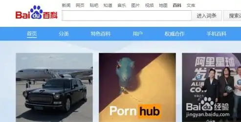 SEO优化策略，如何降低重复内容，提高网站排名，seo问题分析