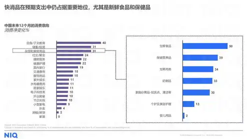 深入剖析PC端网站优化策略，助力企业提升在线竞争力，pc端网站入口