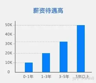 揭秘数据算法工程师的薪资待遇，揭秘高薪背后的奥秘，数据算法工程师待遇