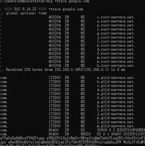 深度解析，如何查询域名DNS服务器数量及优化策略，查询域名dns记录的命令