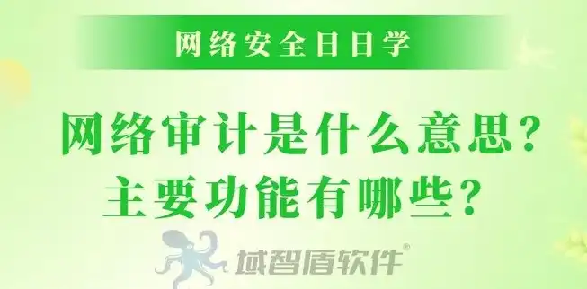 深入解析网络安全审计，保障数据安全的利器，网络安全审计是什么意思呀