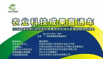 十堰网站开发，打造个性化企业网站，助力企业品牌腾飞，十堰网站开发公司