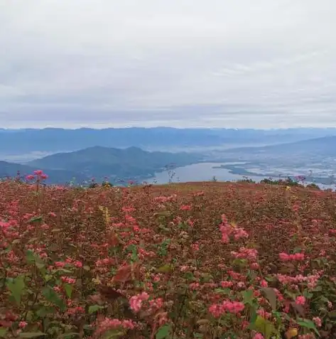 云端漫步，探讨服务器中英文字符存储的奥秘，保存在服务器中英文怎么设置