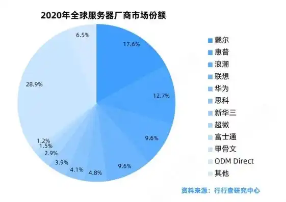 揭秘域名服务器厂商代理，市场格局、优势与未来发展，域名代理公司