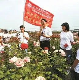 宁波网站建设，打造个性定制，助力企业互联网新航程，宁波做网站设计的公司