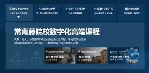 上海网站建设公司，助力企业打造高效、专业的网络形象，上海做网站公司有哪些