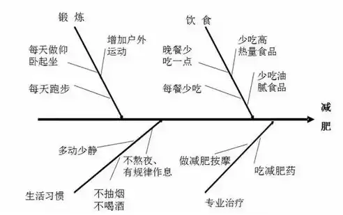 揭秘软件开发工程师的多样岗位，从技术专家到项目经理，全面解析职业生涯路径，软件开发工程师的岗位有哪些内容