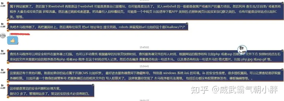 揭秘网站源码之谜，做网站提供源码的真相与优势，做网站提供源码吗违法吗