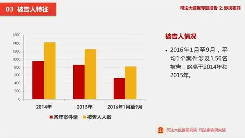 中国司法大数据，构建法治社会的强大基石，中国司法大数据中心