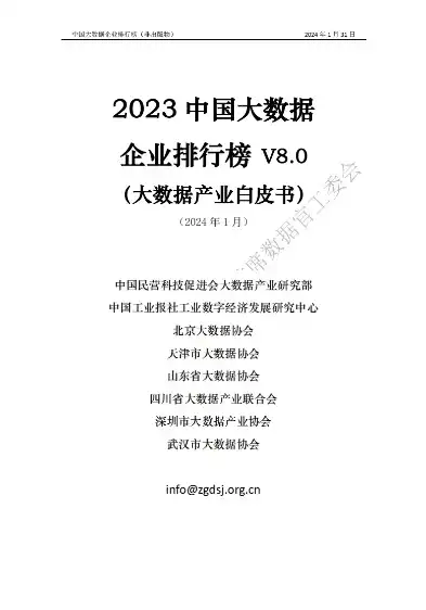 2023年中国大数据行业领军企业排行榜，揭秘国内大数据公司十大高手，国内大数据公司排行