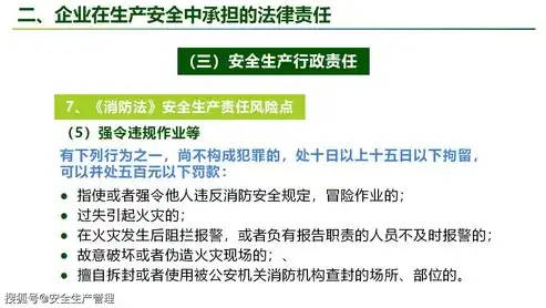 审计安全职责，构建企业风险防控的坚实防线，审计安全职责有哪些