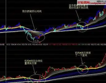 揭秘网站建设系统源码，打造个性化网站的秘密武器，网站建设系统源码有哪些