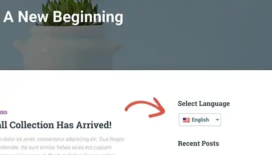 Decoding the World of English Website Source Code: A Comprehensive Guide，英文网站源码