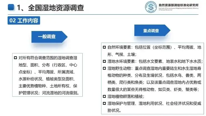 我国自然资源数据调查，探寻可持续发展之道，自然资源数据调查报告