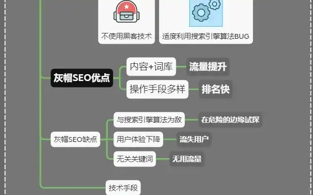 SEO白帽与黑帽，揭秘搜索引擎优化中的道德边界与策略选择，白帽seo黑帽什么区别?