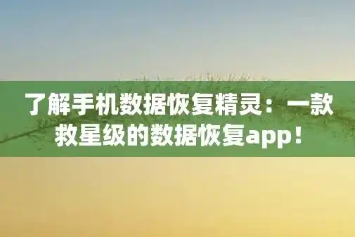 深度解析，手机数据恢复精灵APP——揭秘其收费情况及性价比，手机数据恢复精灵有风险吗这个软件