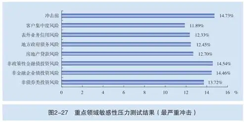 深度解析，银行压力测试的极端评估与风险防范，压力测试是用于评估