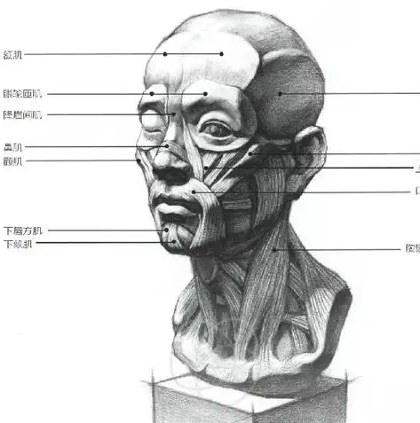 自动伸缩装置结构图详解，匠心独运的工程杰作，自动伸缩装置结构图怎么画