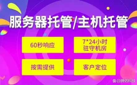 深度解析，服务器托管一年价格全攻略，揭秘行业奥秘与性价比之选，服务器托管一年价格多少