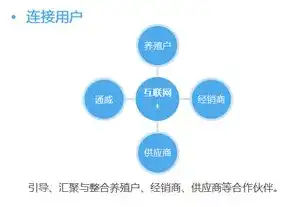 深入解析网站SEO，核心概念、策略与实践，网站专业术语中seo意思是什么