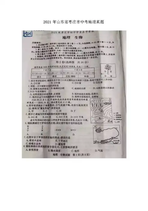 枣庄网站建设，助力企业腾飞的网络新篇章，枣庄网站建设论文