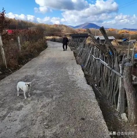 探秘吉林，历史文化与现代发展的完美融合