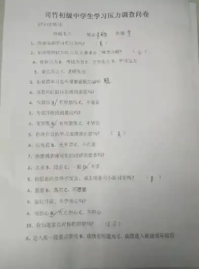 构建有效学生压力测试问卷，设计与实施指南，压力测试问卷学生怎么写范文