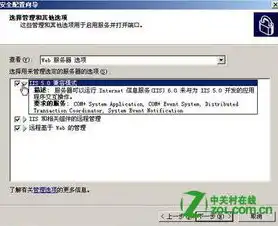 揭秘网站服务器提供商，如何识别与选择优质服务商，查询网站服务器提供商名单