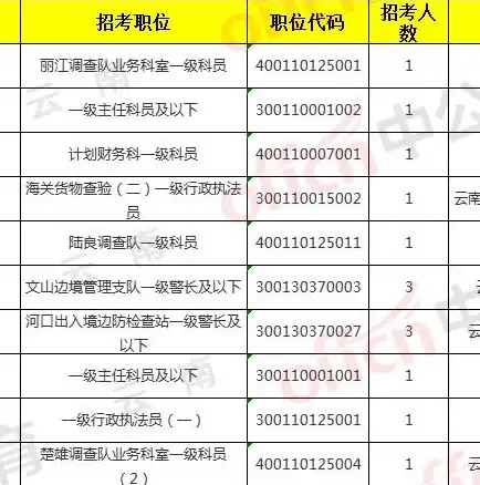 深入解析网站统计代码，功能与应用实例，网站统计代码大全